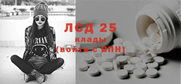 ПСИЛОЦИБИНОВЫЕ ГРИБЫ Алексеевка