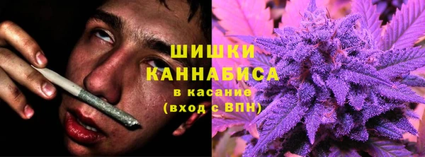 ПСИЛОЦИБИНОВЫЕ ГРИБЫ Алексеевка