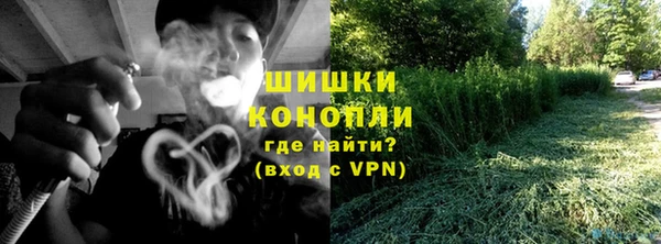 ПСИЛОЦИБИНОВЫЕ ГРИБЫ Алексеевка