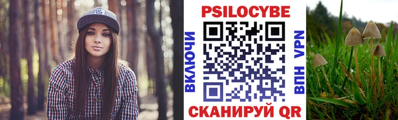 Галлюциногенные грибы мицелий  Поронайск 